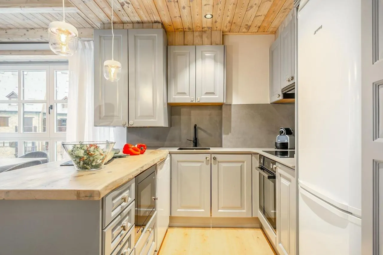 Luderna - Apartamento Val De Ruda B65 Liat Naut Aran
